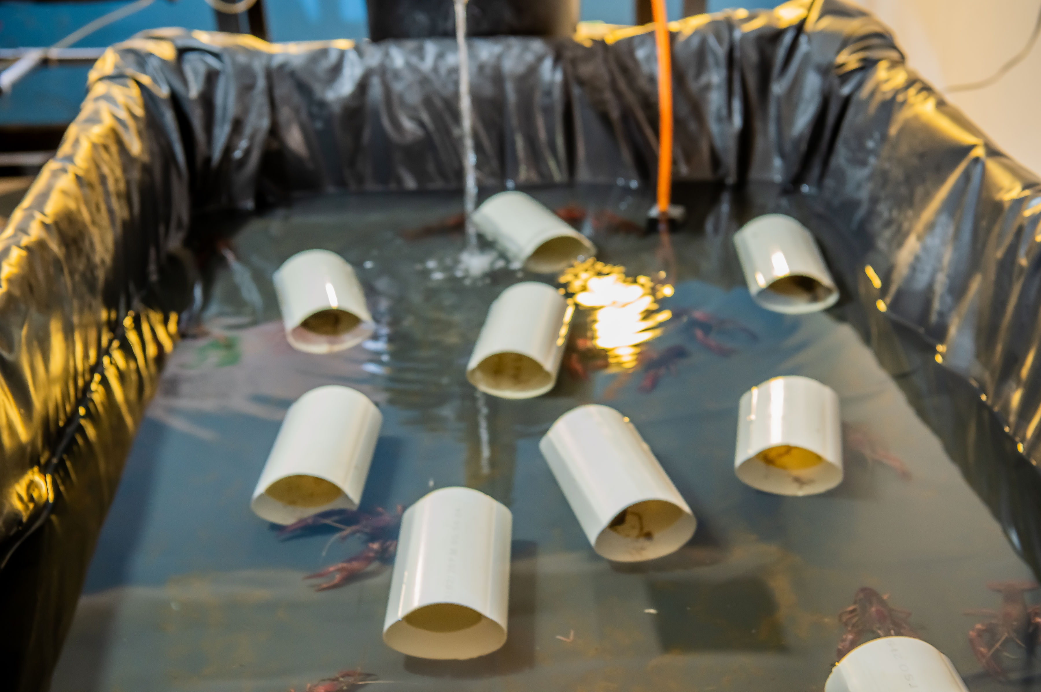 Smart pond sensors installed in a fish pond